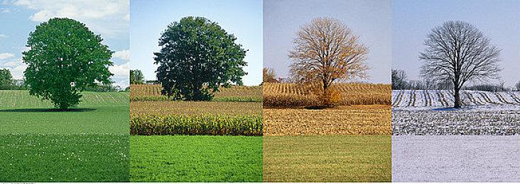 《燕云十六声》有单机和多人模式 游戏内容丰富