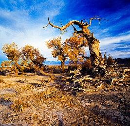 任天堂关闭美国加州和加拿大多伦多办公室