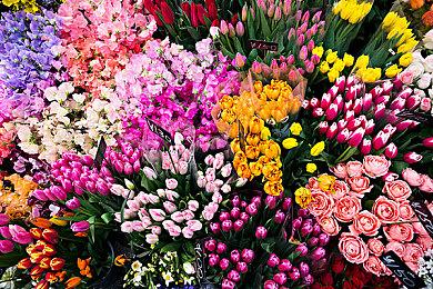 《前线任务 2089：边境》PC及安卓实机 发售日待定