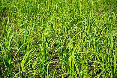 2021年以色列数字游戏收入86亿美元 占世界总值5%